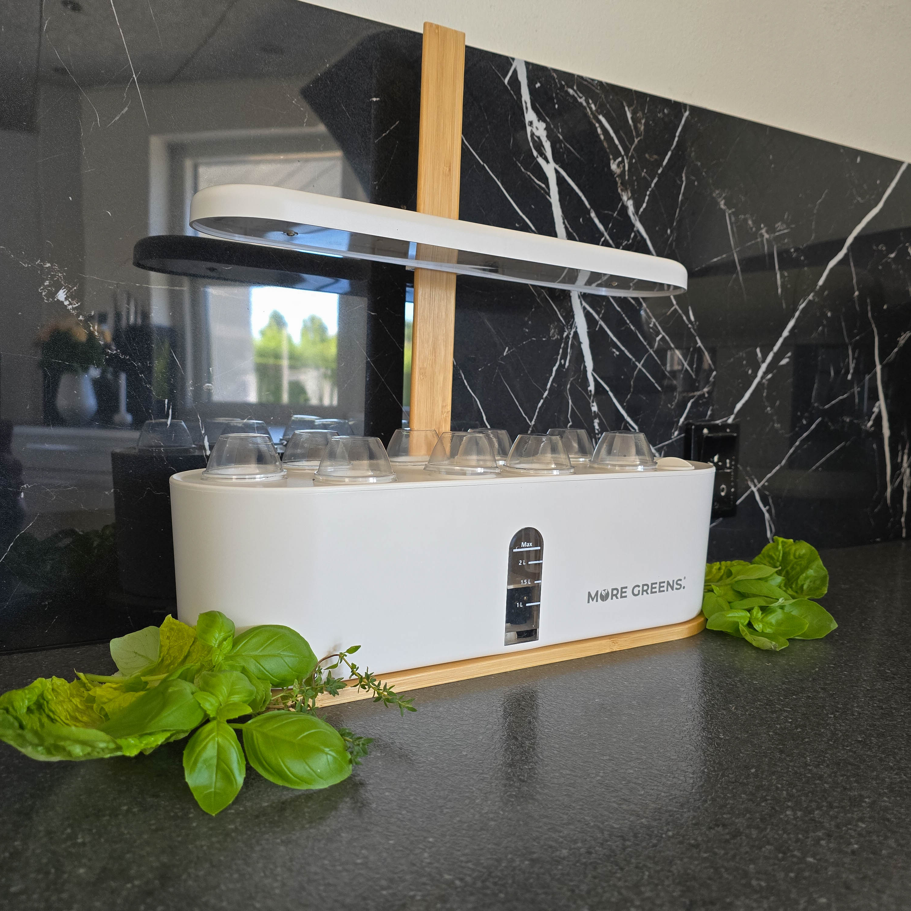 MoreGreens StartPakke