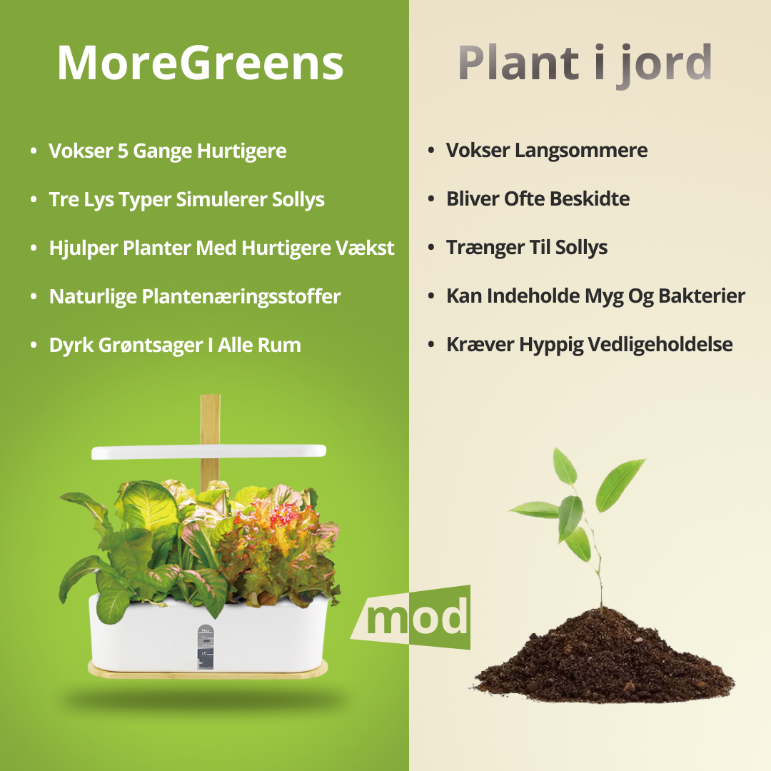 MoreGreens StartPakke